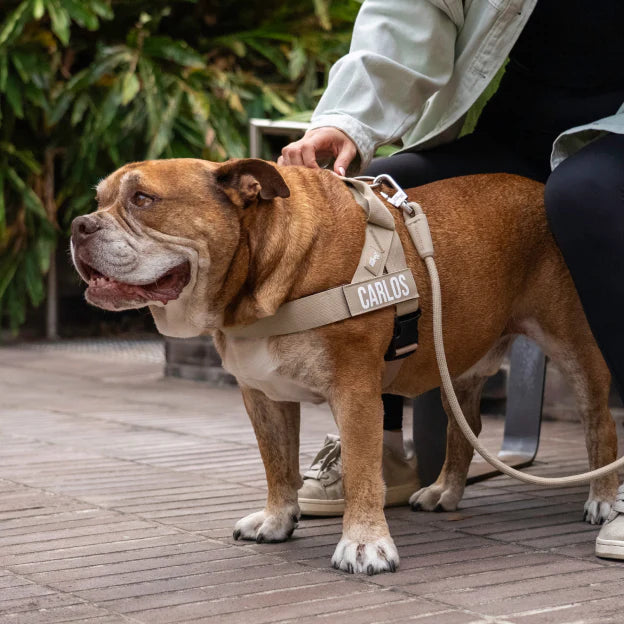 Trousse de marche essentielle_