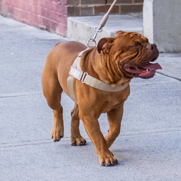 Trousse de marche essentielle_