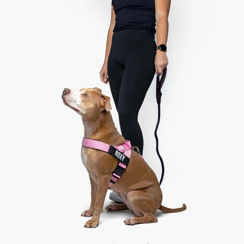 Trousse de marche essentielle_