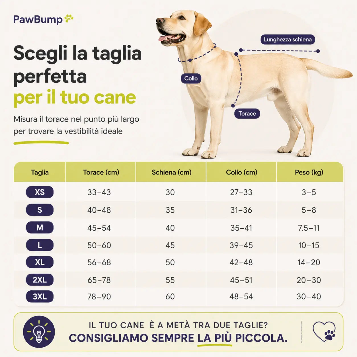 Blu Notte XS Blu Notte S Blu Notte M Blu Notte L Blu Notte XL Blu Notte 2XL Blu Notte 3XL