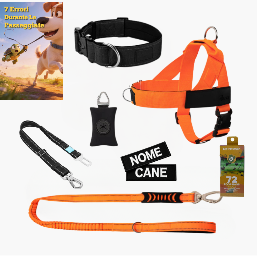 Kit pour amoureux des chiens