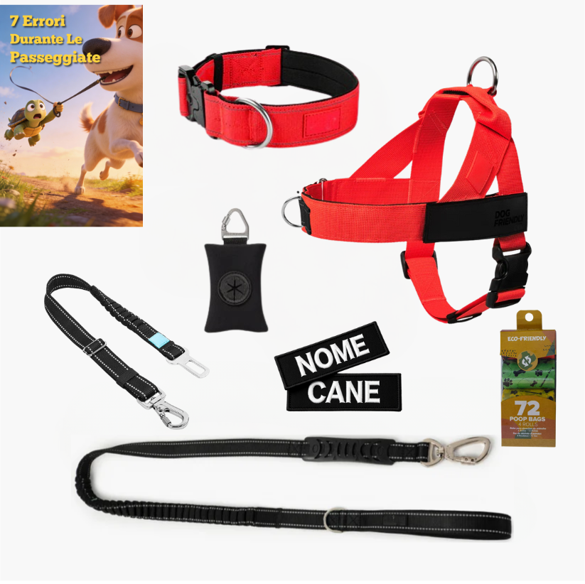 Kit pour amoureux des chiens