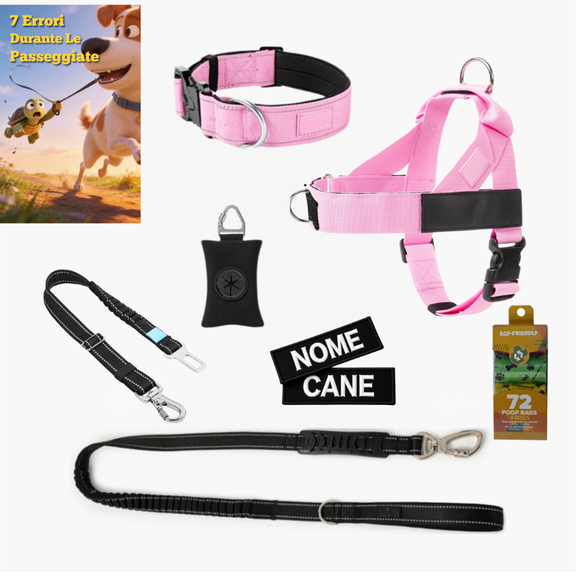 Kit pour amoureux des chiens
