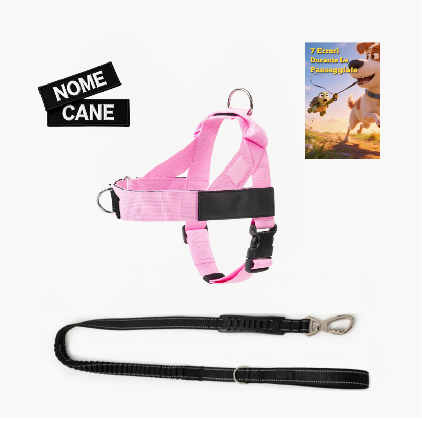 Trousse de marche essentielle_