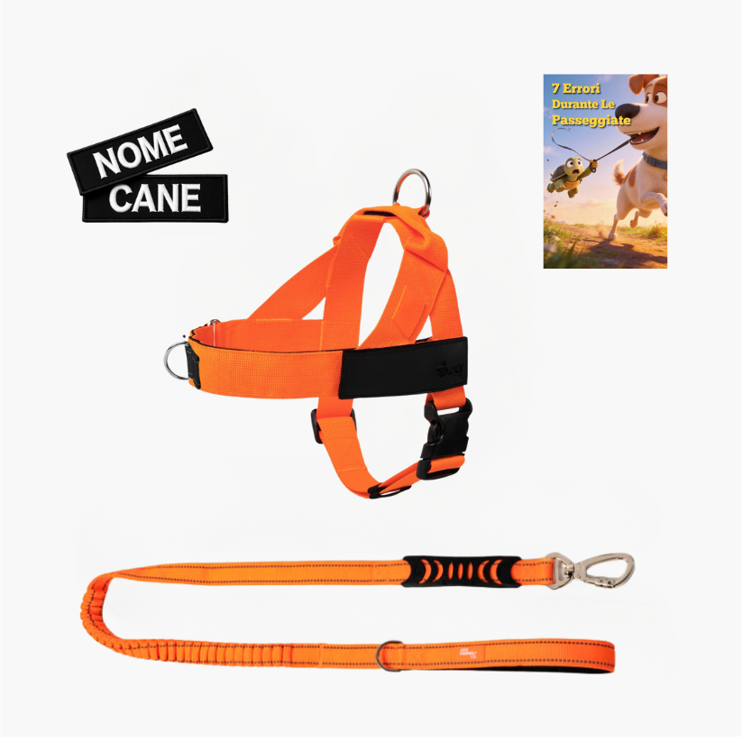 Trousse de marche essentielle_