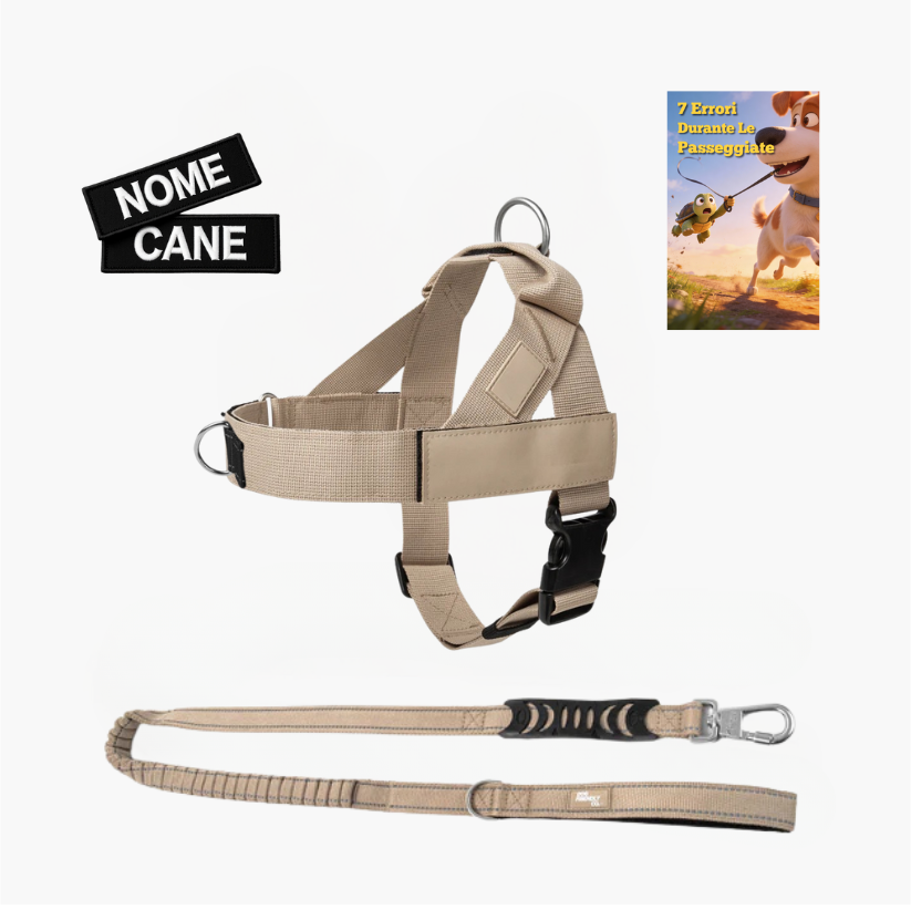 Trousse de randonnée essentielle