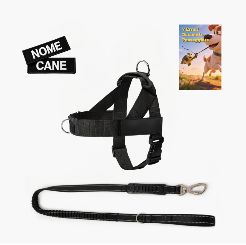 Trousse de randonnée essentielle