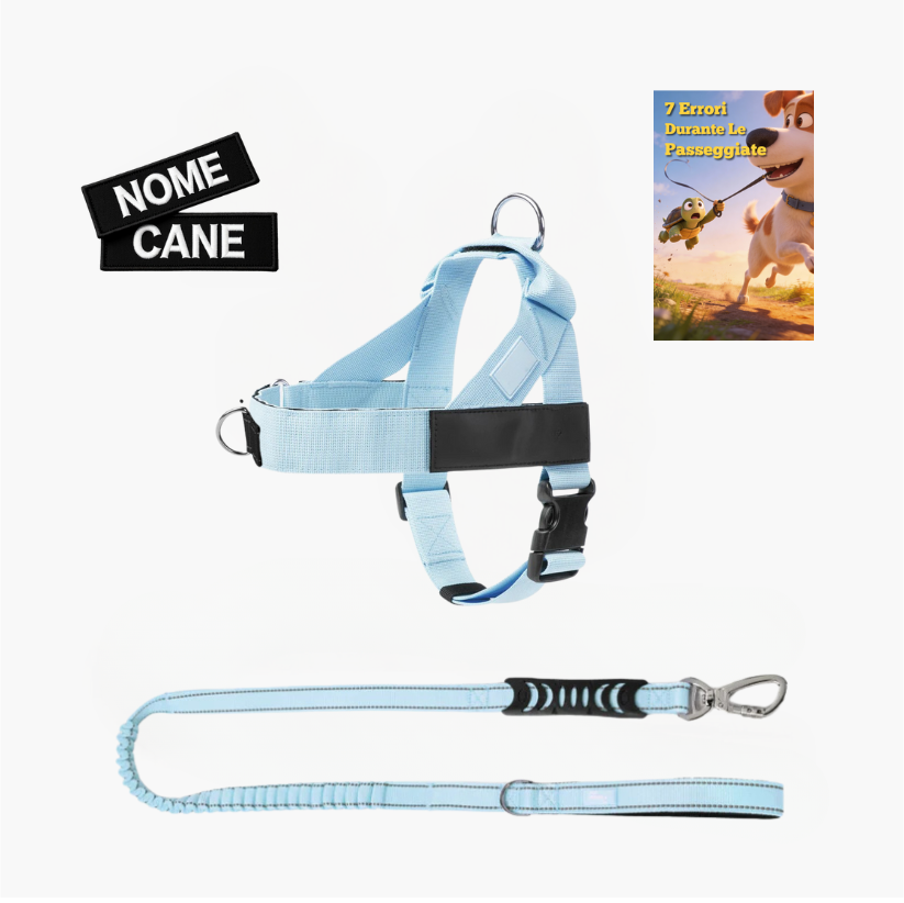 Trousse de randonnée essentielle