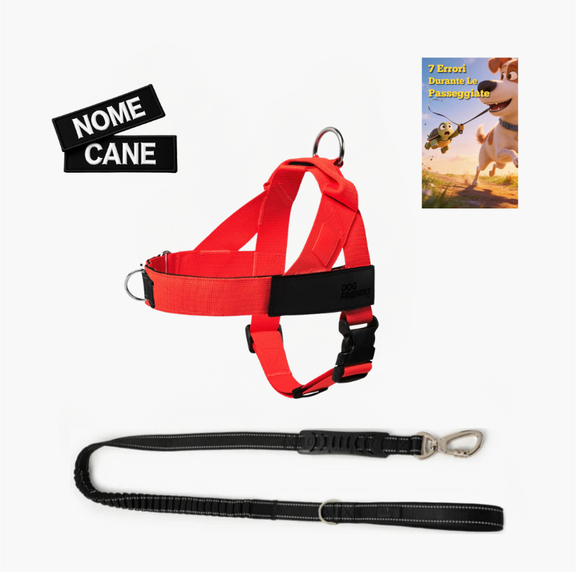 Trousse de randonnée essentielle