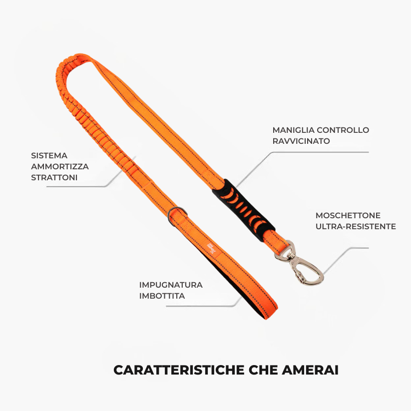 Trousse de marche essentielle_