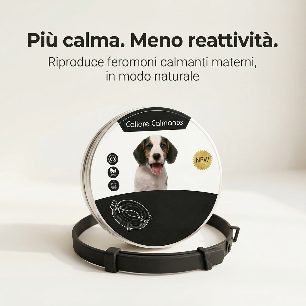 Programma Controllo Emotivo