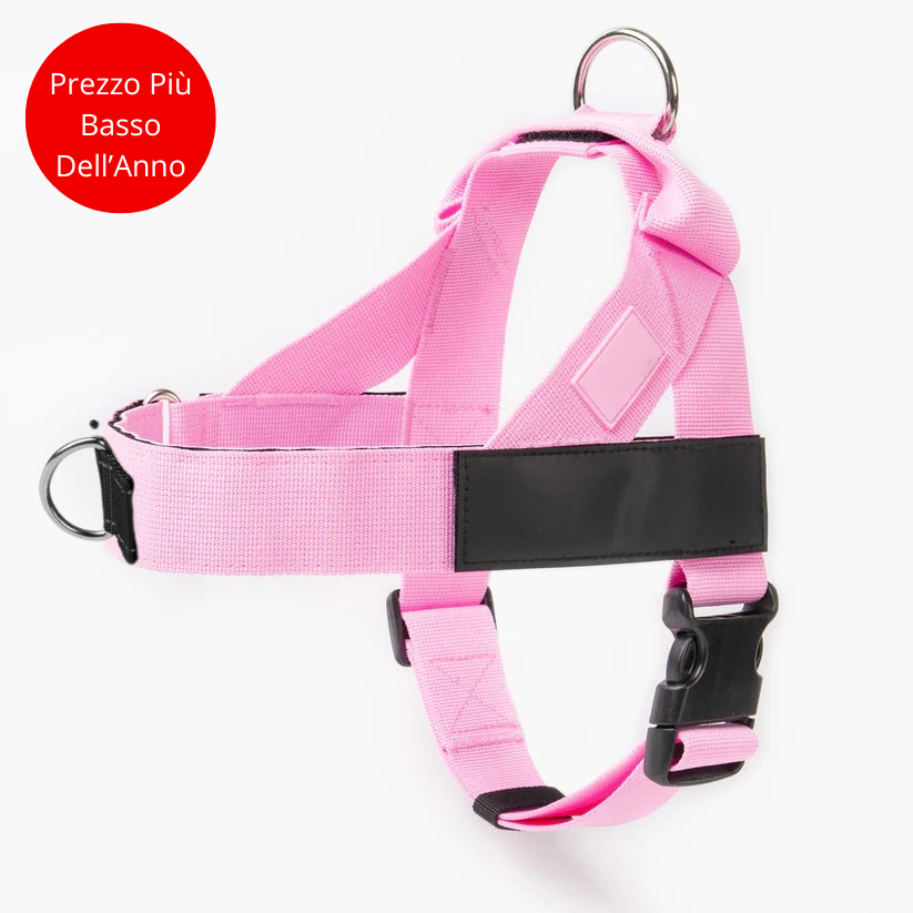 Harnais anti-traction_