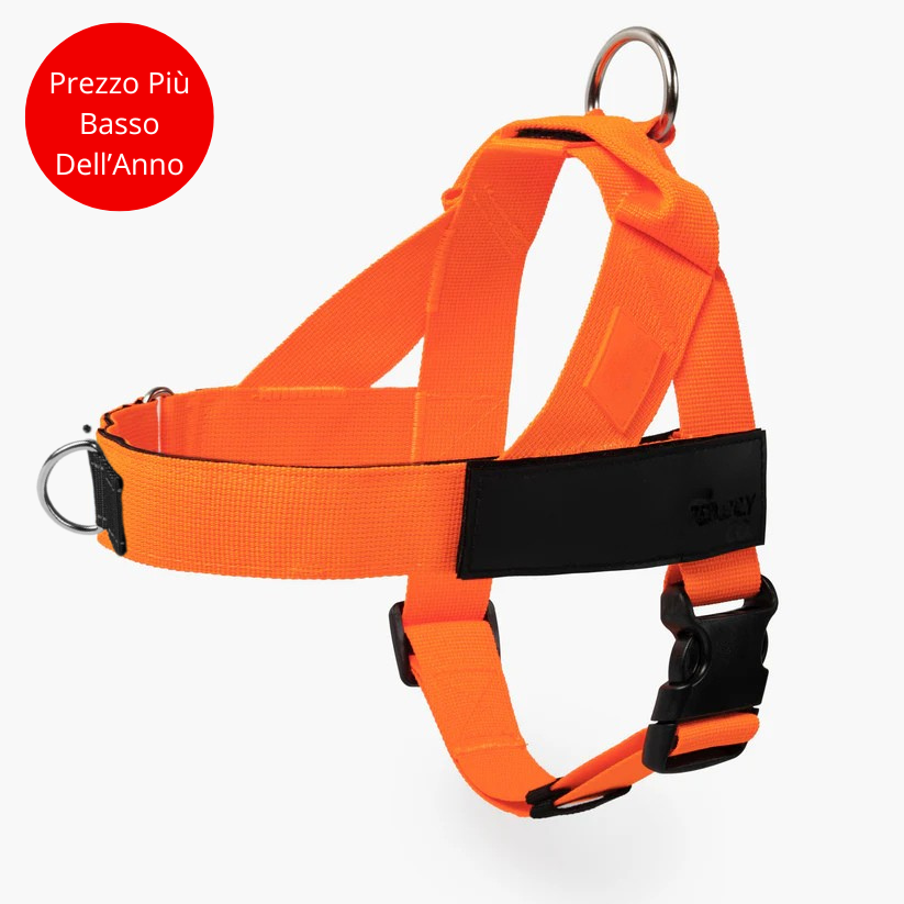 Harnais anti-traction_