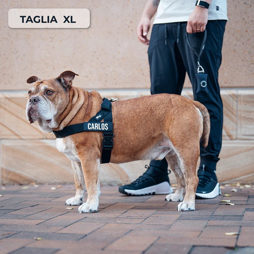 Trousse de marche essentielle_