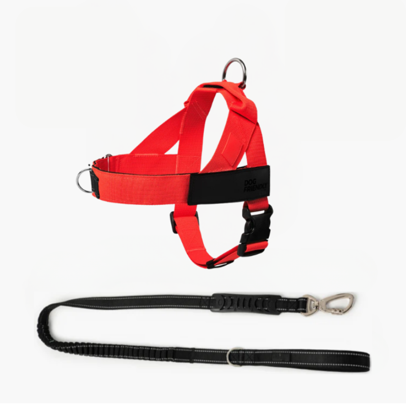 Trousse de marche essentielle_