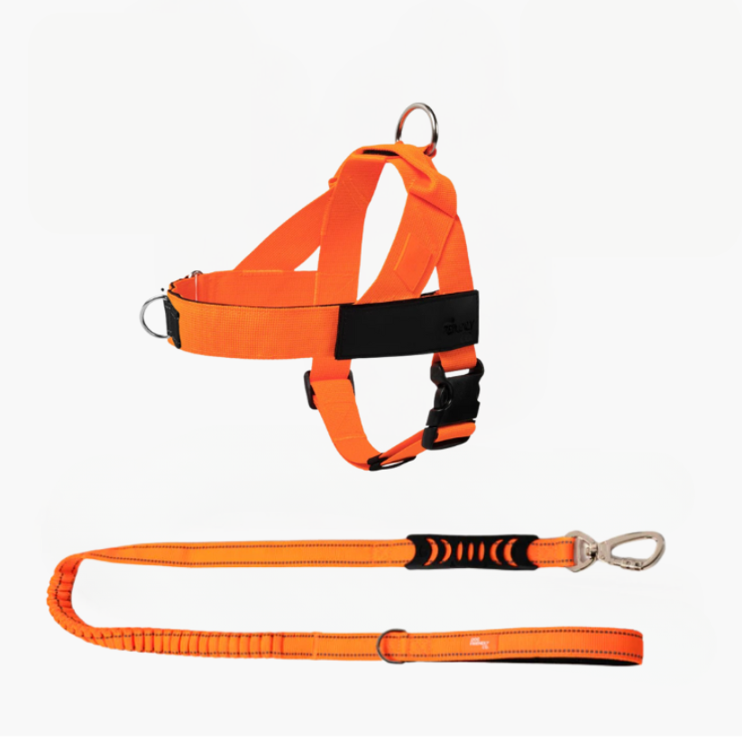 Trousse de marche essentielle_