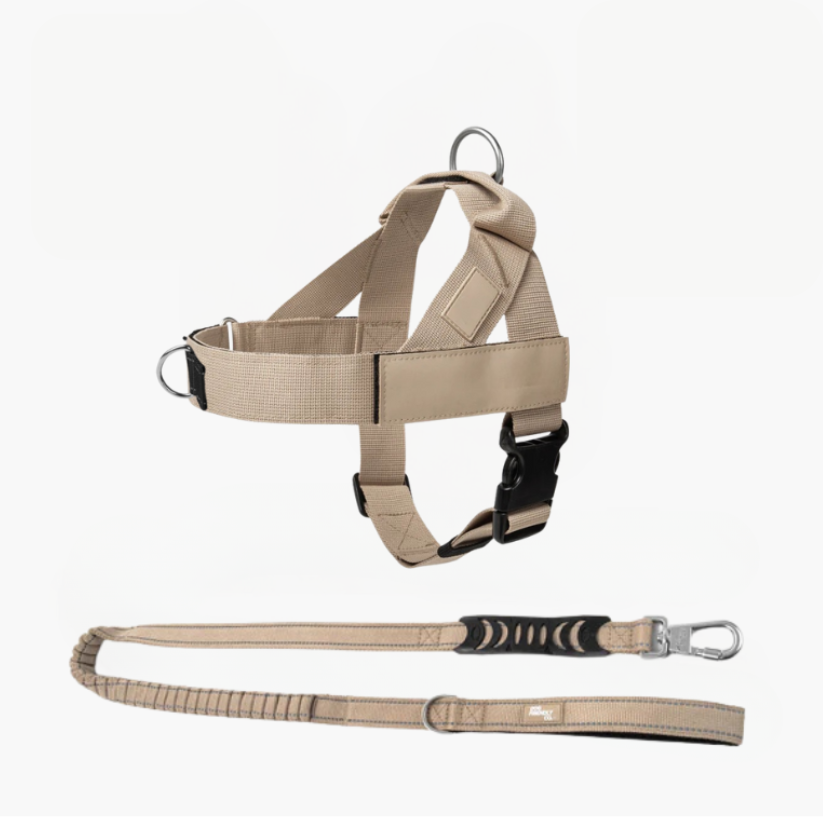 Trousse de marche essentielle_