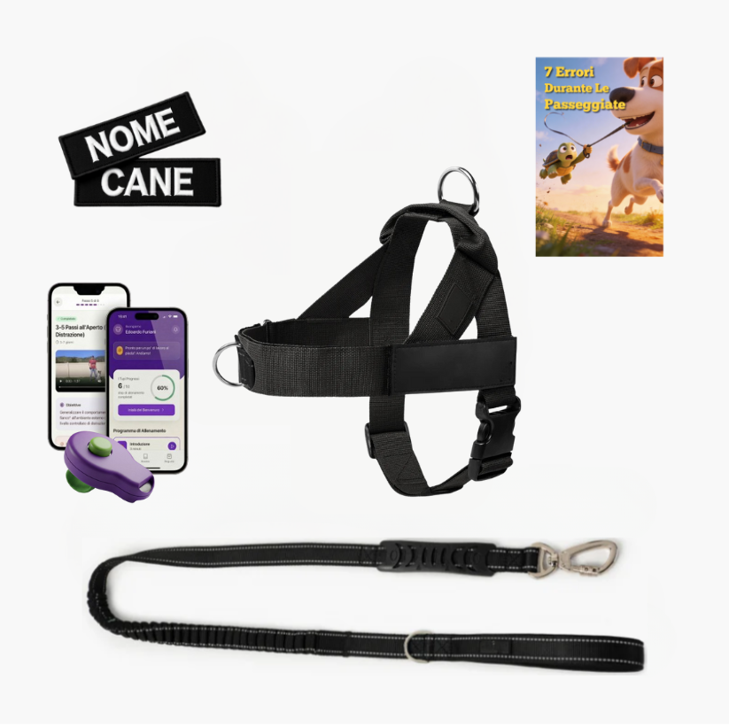 Trousse de marche essentielle_