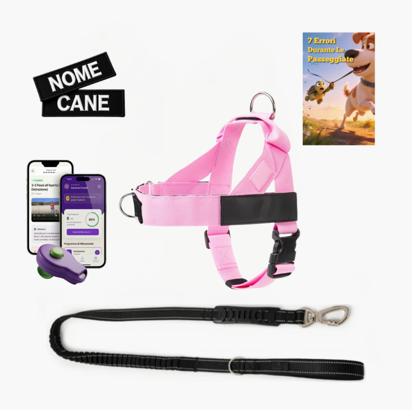 Trousse de marche essentielle_