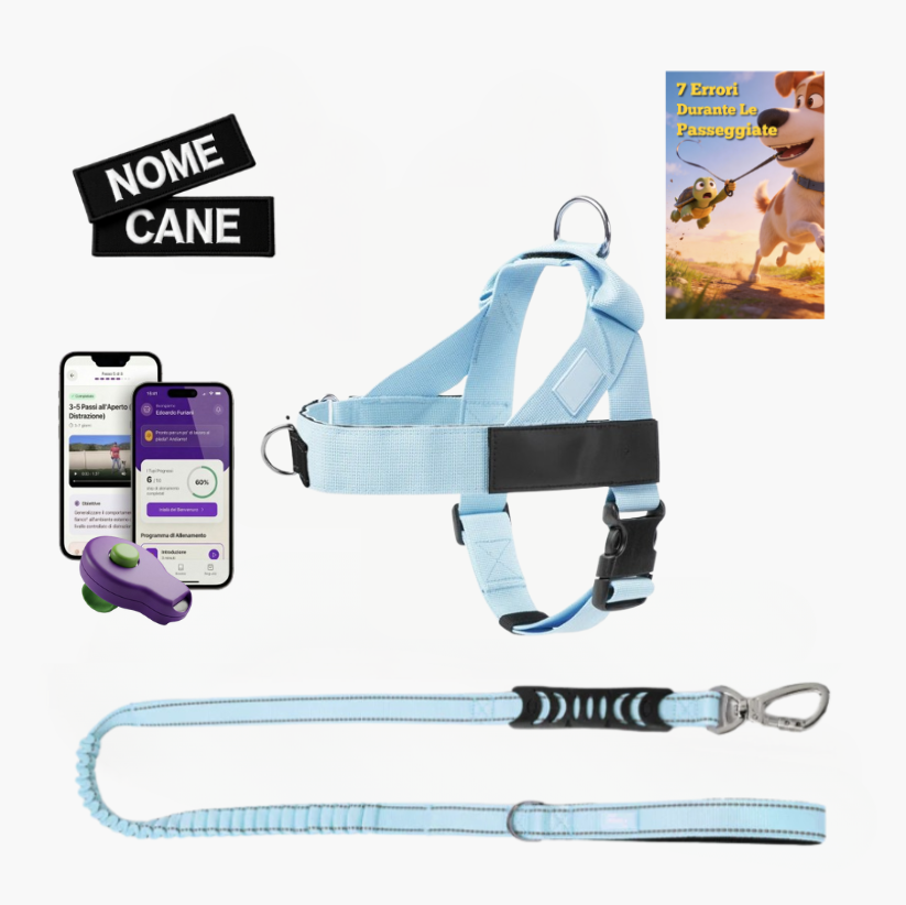 Trousse de marche essentielle_