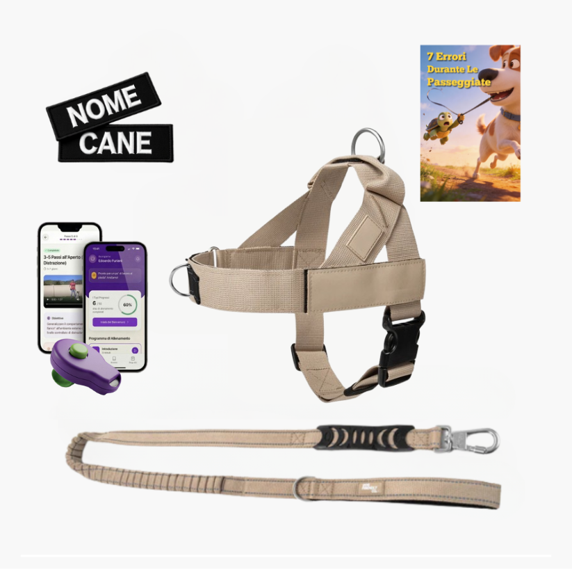 Trousse de marche essentielle_