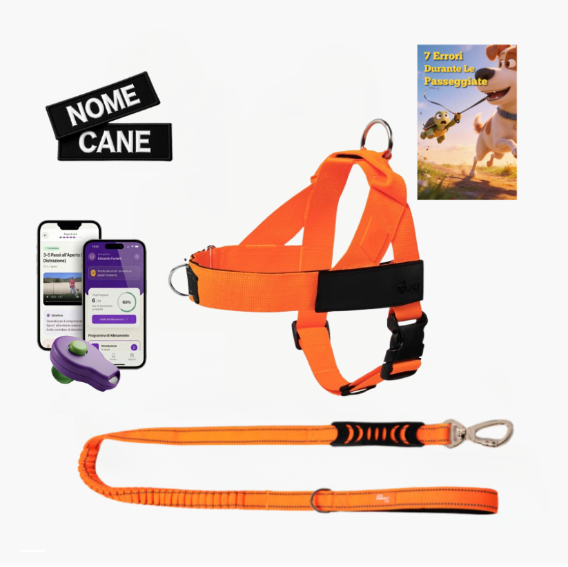 Trousse de marche essentielle_