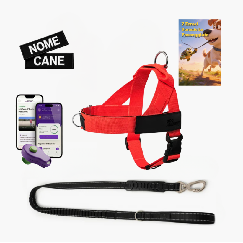 Trousse de marche essentielle_