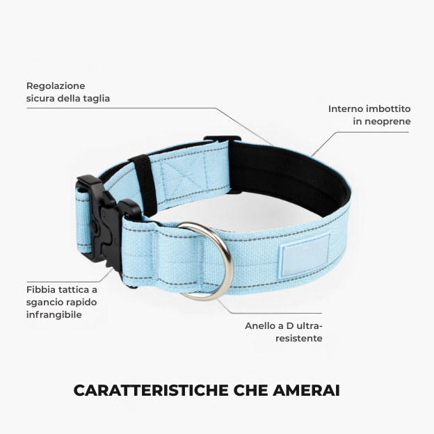 Kit pour amoureux des chiens