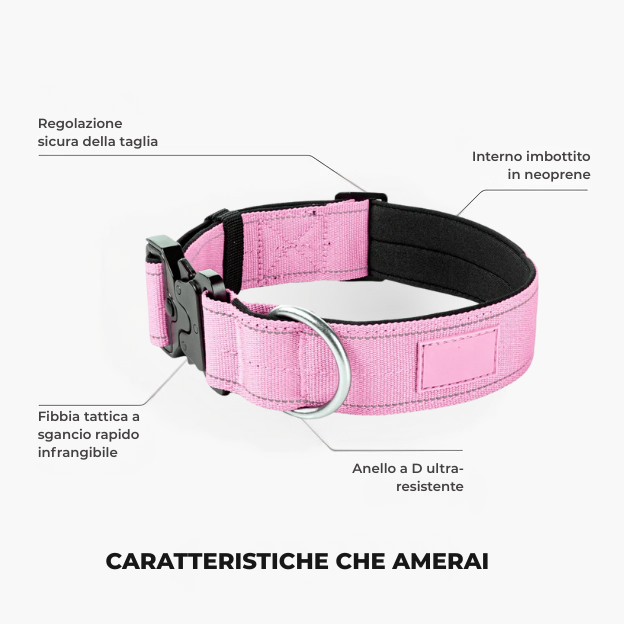 Kit Amante Dei Cani
