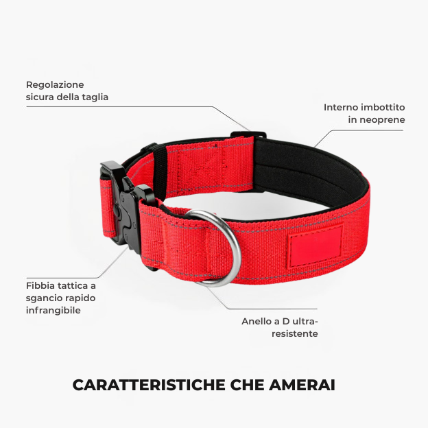 Kit pour amoureux des chiens