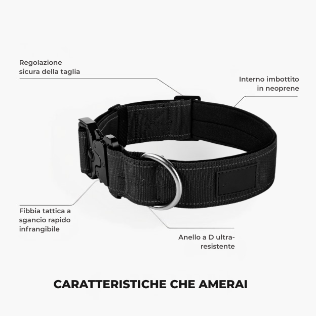 Kit pour amoureux des chiens