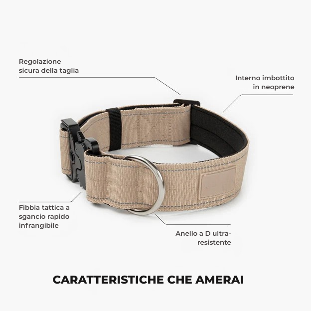 Kit Amante Dei Cani