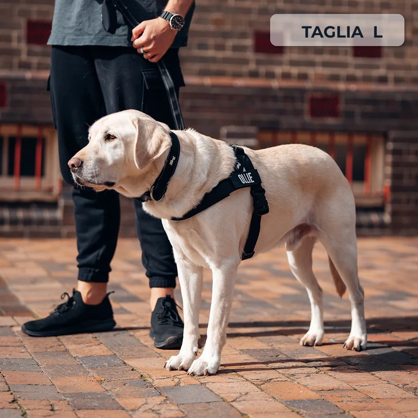 Trousse de marche essentielle_