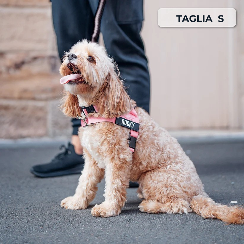 Trousse de marche essentielle_