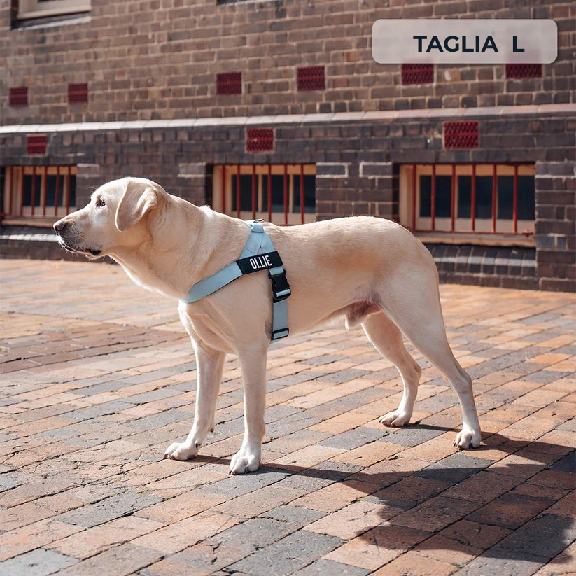 Trousse de marche essentielle_