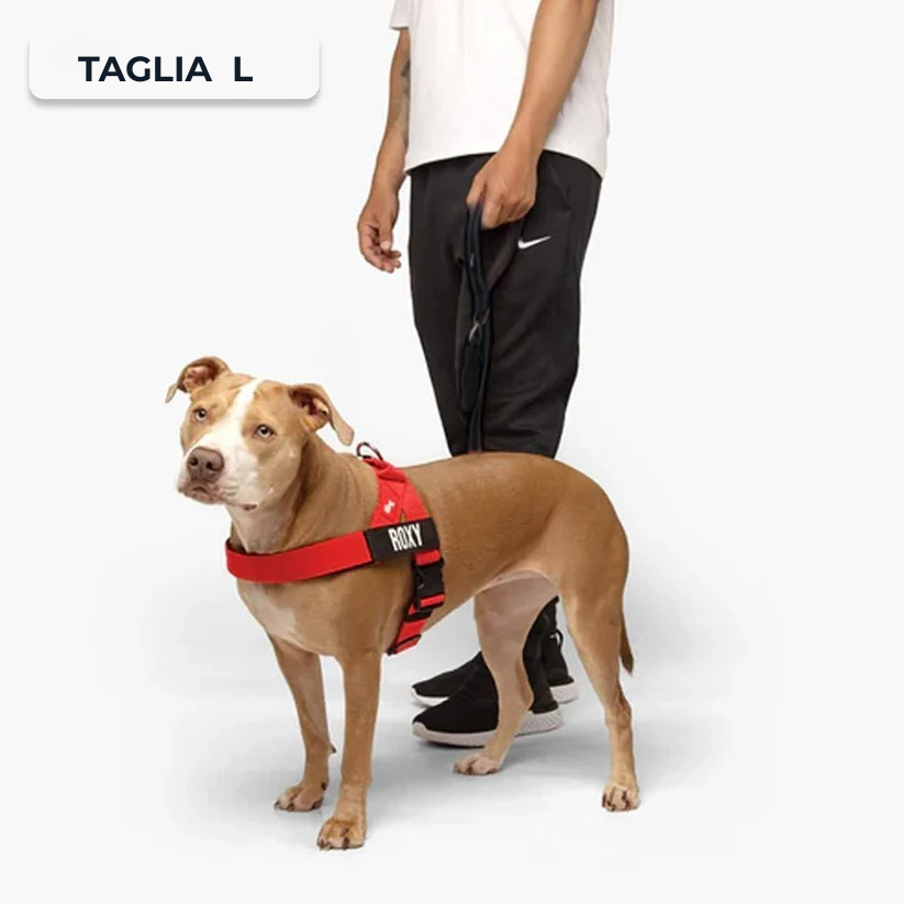 Trousse de marche essentielle_