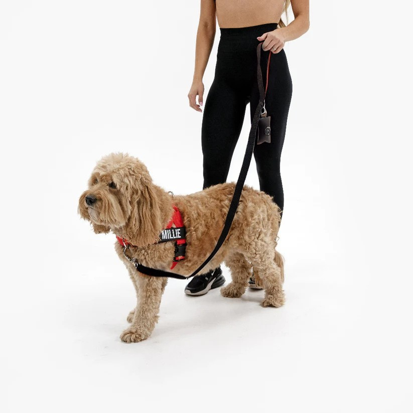 Trousse de marche essentielle_