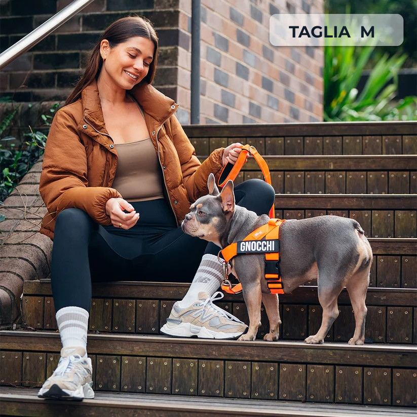 Trousse de marche essentielle_