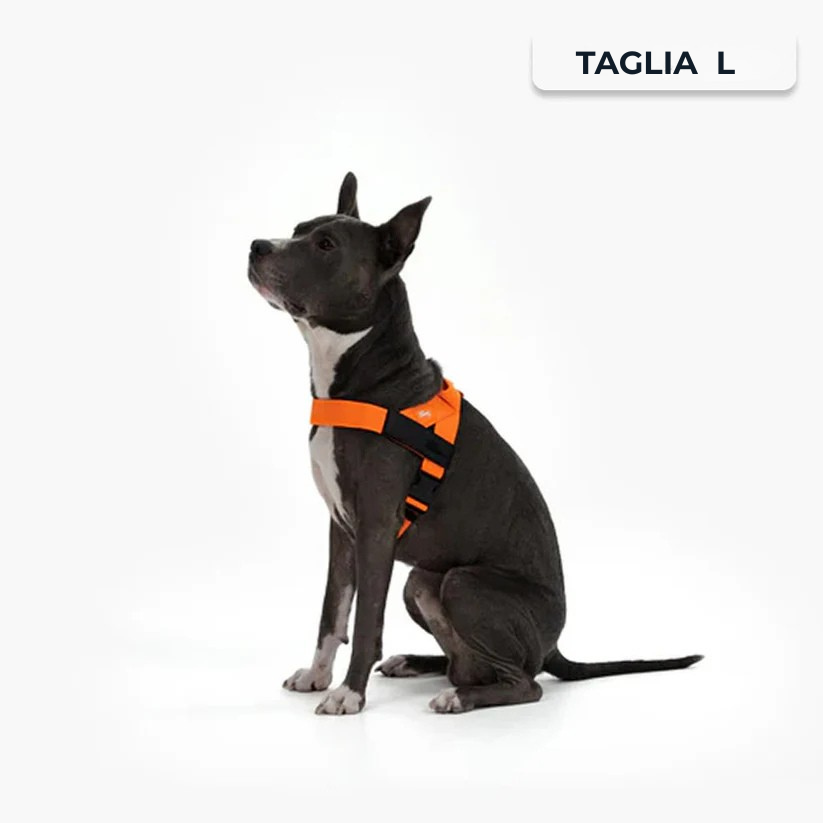 Trousse de marche essentielle_