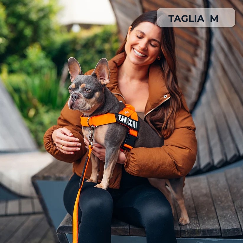 Trousse de marche essentielle_