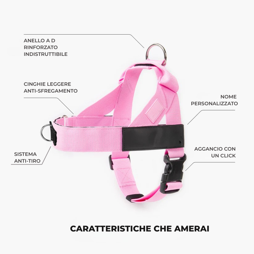 Trousse de marche essentielle_