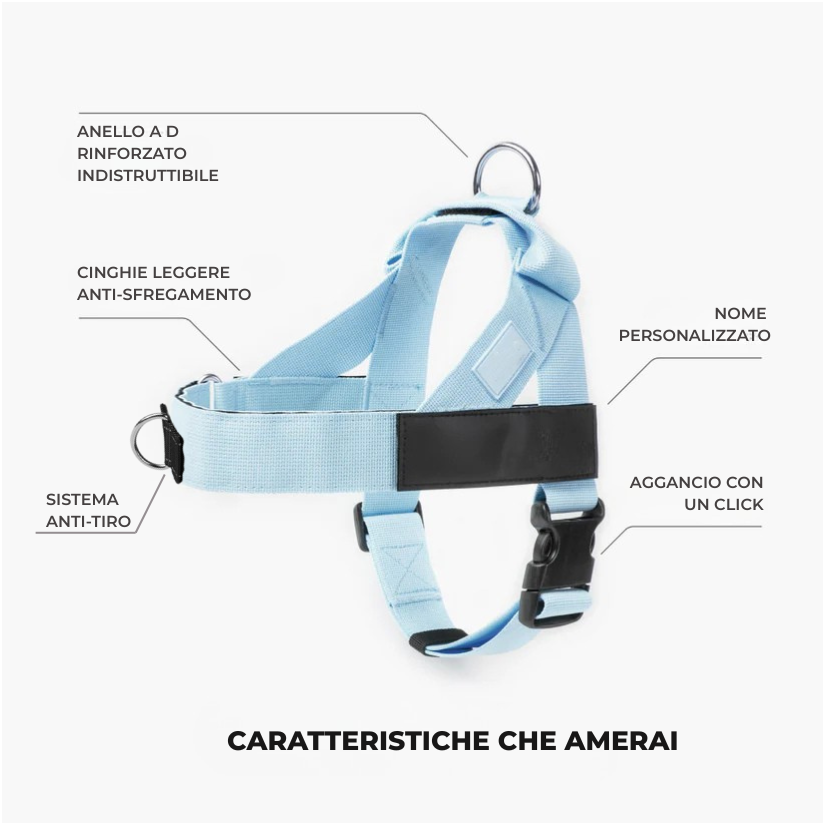 Trousse de marche essentielle_