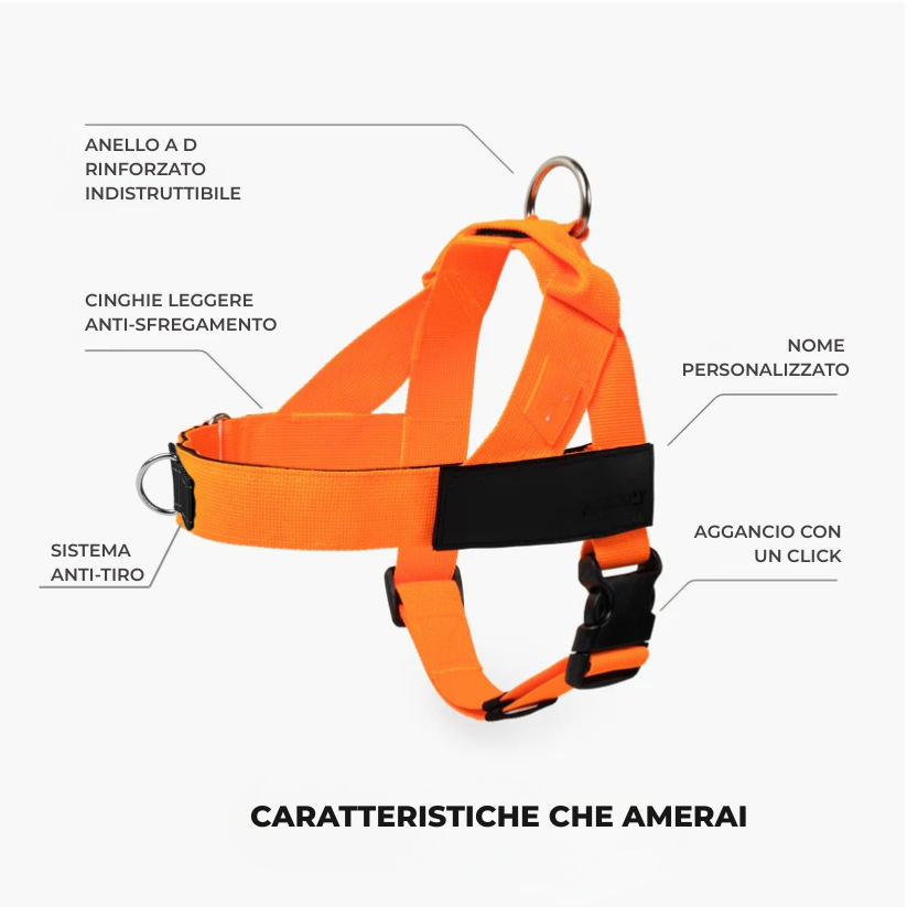 Trousse de marche essentielle_