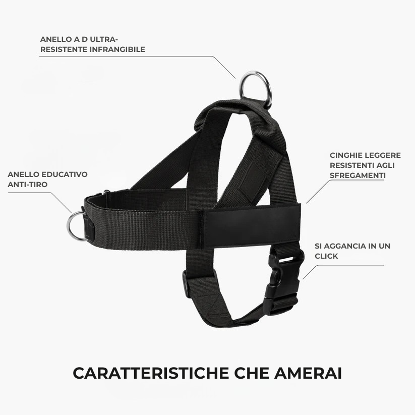 Kit pour amoureux des chiens