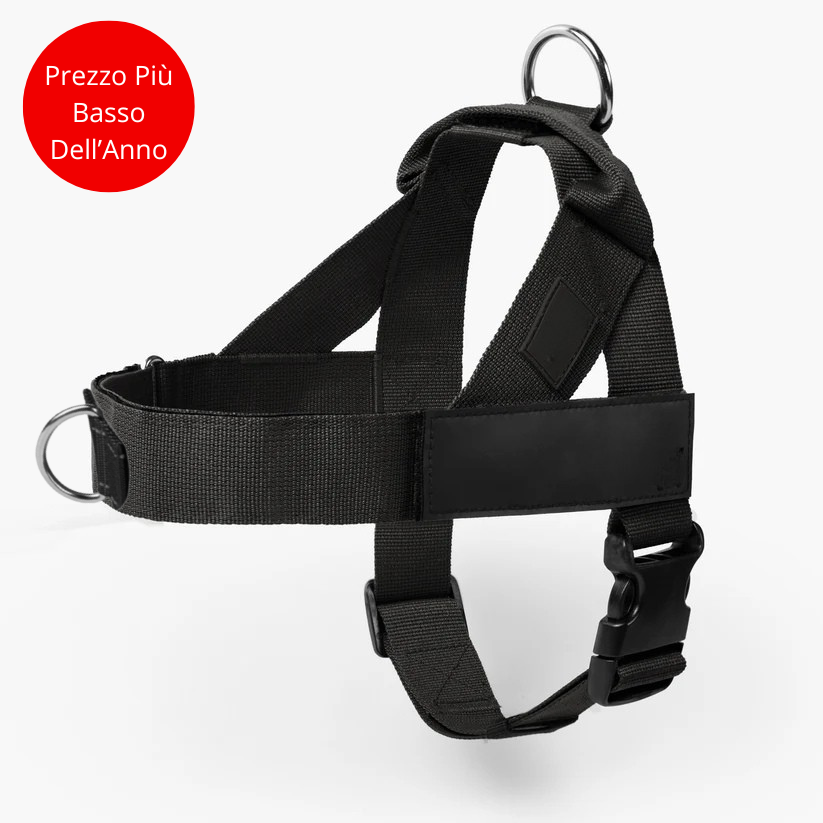 Testodelparagrafo_32.png__PID:721b7e3b-34c0-4d51-ad8d-1601d6fab005