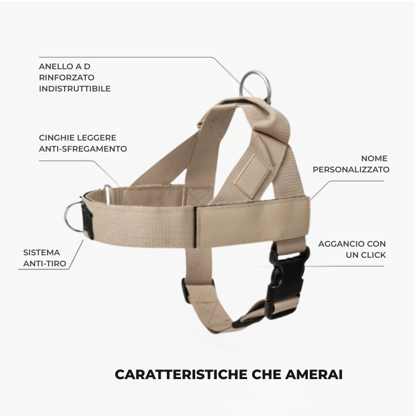 Trousse de marche essentielle_