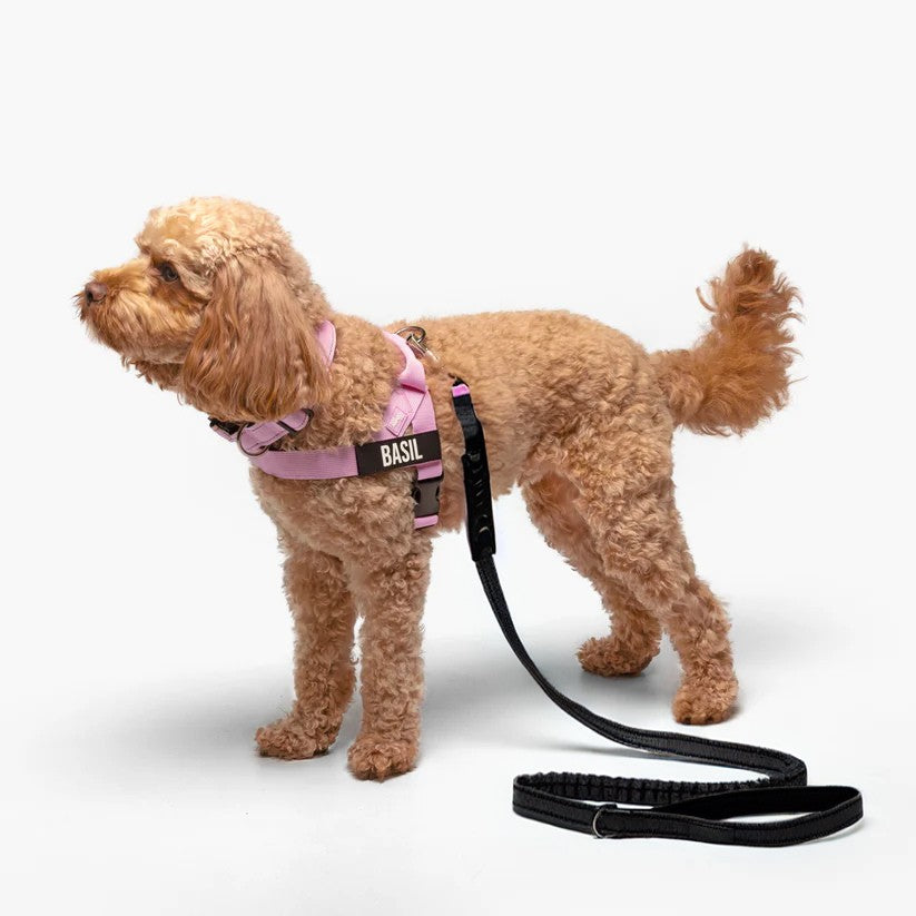 Trousse de marche essentielle_