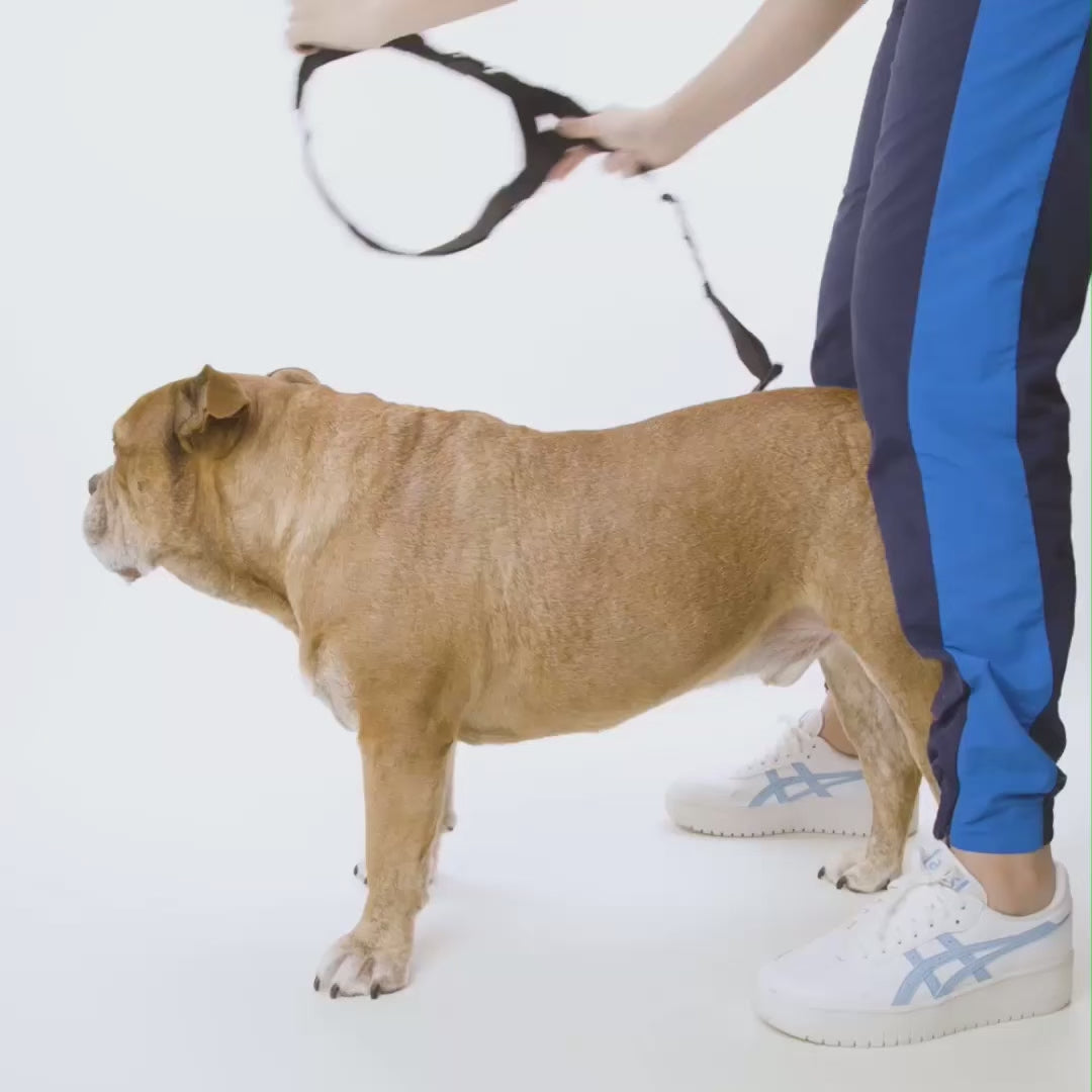 Trousse de marche essentielle_