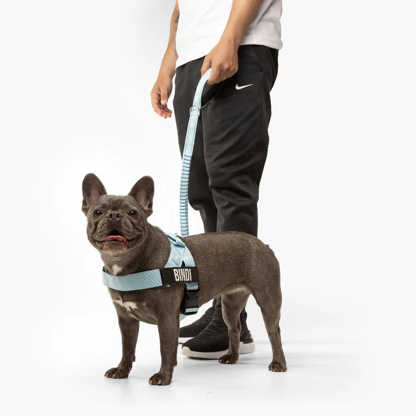 Trousse de marche essentielle_